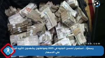رسميًا.. استمرار تحسن الجنيه في 2025 ومواطنون يشهدون تأثيره قريبًا على الأسعار